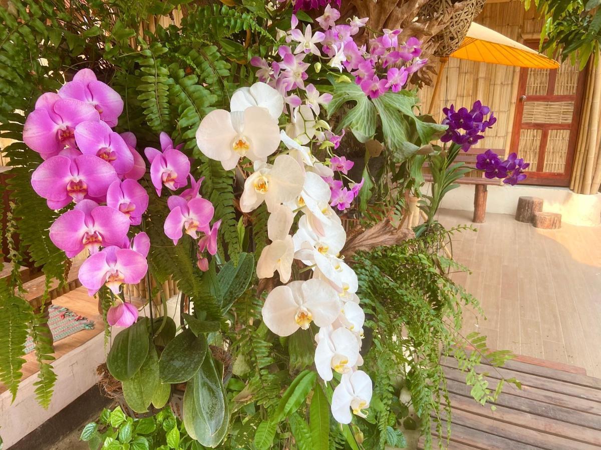 Ban Rai Jai Chaem - Spa Cafe & Homestay Екстериор снимка